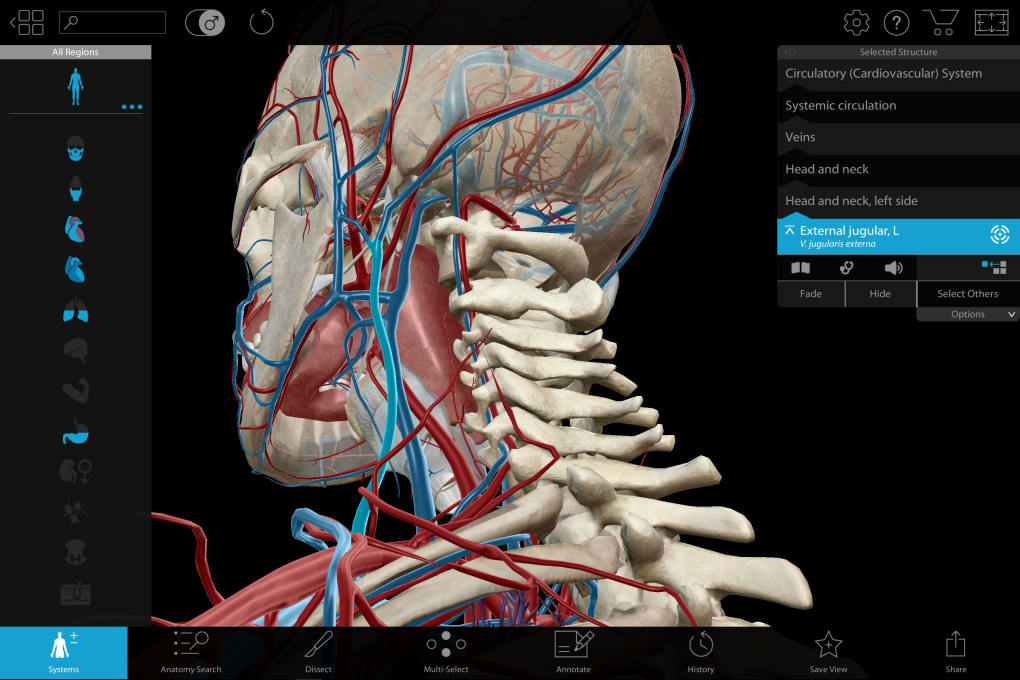 visible body 3d human anatomy atlas for mac free